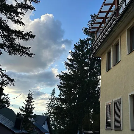 Natural Forest Vlasic Apartmán